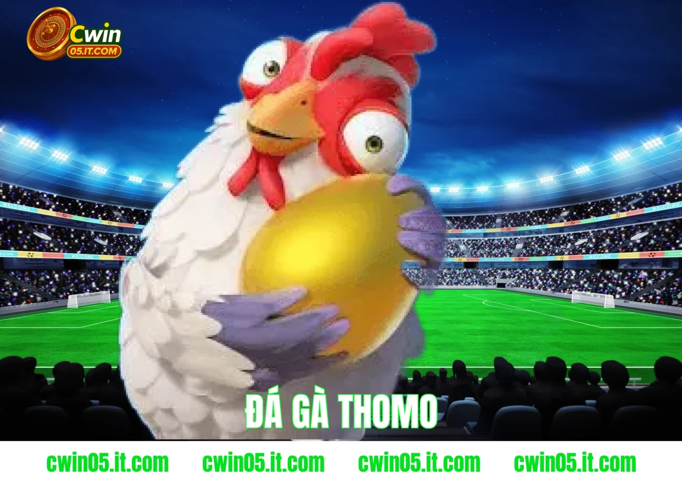 Đá gà thomo tại Cwin – Trực tiếp kịch tính, thưởng nóng 100%